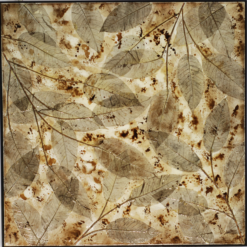 ����Ҷ����